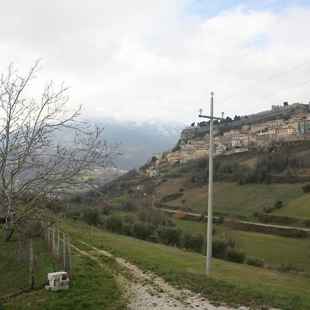 B&B La Collina Degli Ulivi Civitella Del Tronto Екстериор снимка